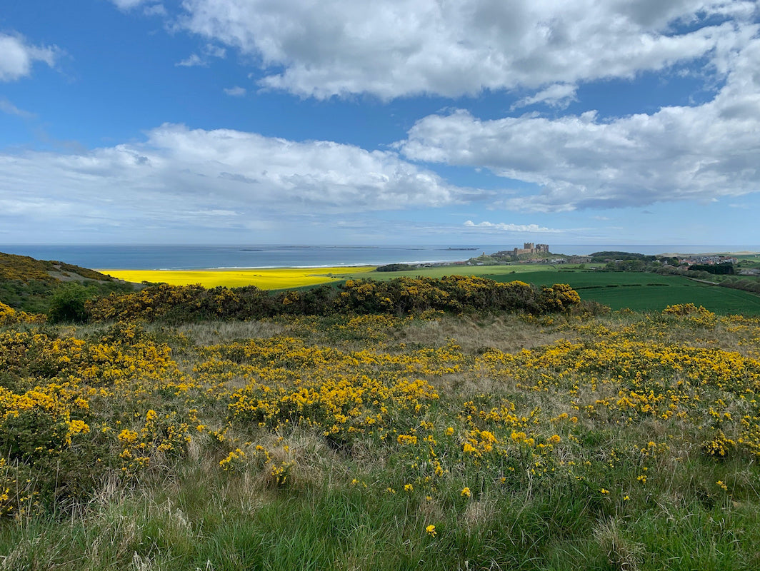 Your Guide to Exploring Bamburgh | Joanne Wishart