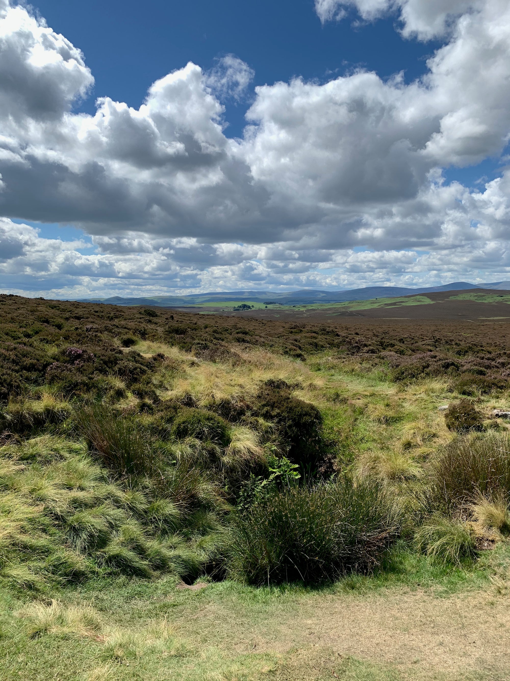 Whisky and Walking in Wooler and Beyond