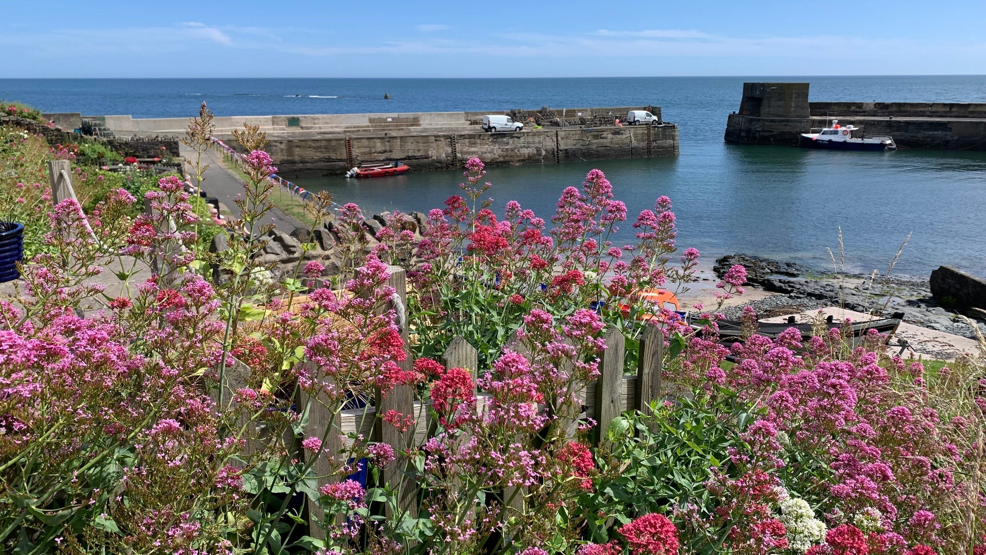 Northumberland Coastal Walk: Sketching & Sea Swimming from Craster to Low Newton
