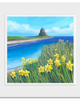 Lindisfarne Spring Daffodils | Northumberland Art Print