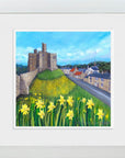 Walkworth Spring Daffodils | Art Print