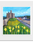 Walkworth Spring Daffodils | Art Print