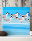 Arctic Terns | Greetings Card