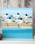 Black Headed Gulls | Greetings Card