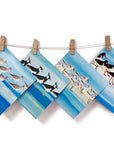 A multi pack of bristish coastal bird cards.