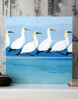 Gannets | Greetings Card