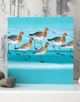 Godwits | Greetings Card