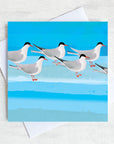 Arctic Terns sea bird Greetings card