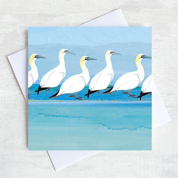  Gannets Greetings card