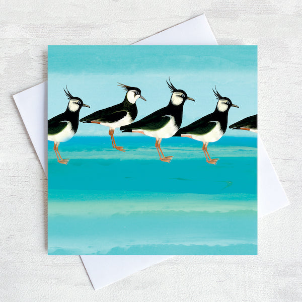 Lapwing Greetings Card by Joanne Wishart. A flock of 5 lapwing birds in a row on a teal green background. White Envelope an displayed on a white woodwashed surface.