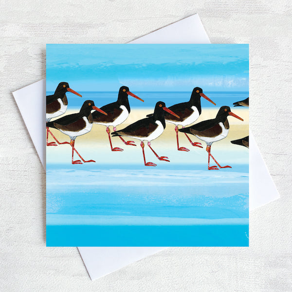 Oystercatchers illustrated greetings card