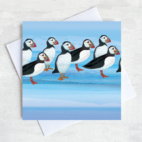 puffins illustrated greetings card