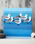 Kittiwakes | Greetings Card
