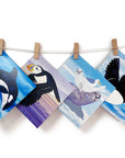 A selection of marine animals and sea birds including puffins, orcas, seals an dolphins in a group of greetings cards.