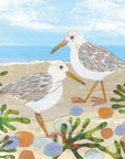 Seaside scene with a pale blue sea and blue cloudy sky. The sand is littered with green seaweed and red, blue and grey rocks but the stars of the show are two Sanderling birds pottering along the shore line. These birds have a white head and stomach and beige/brown textured wings, beaks and legs.