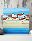 Ringed Plover | Greetings Card
