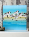 Sanderlings | Greetings Card