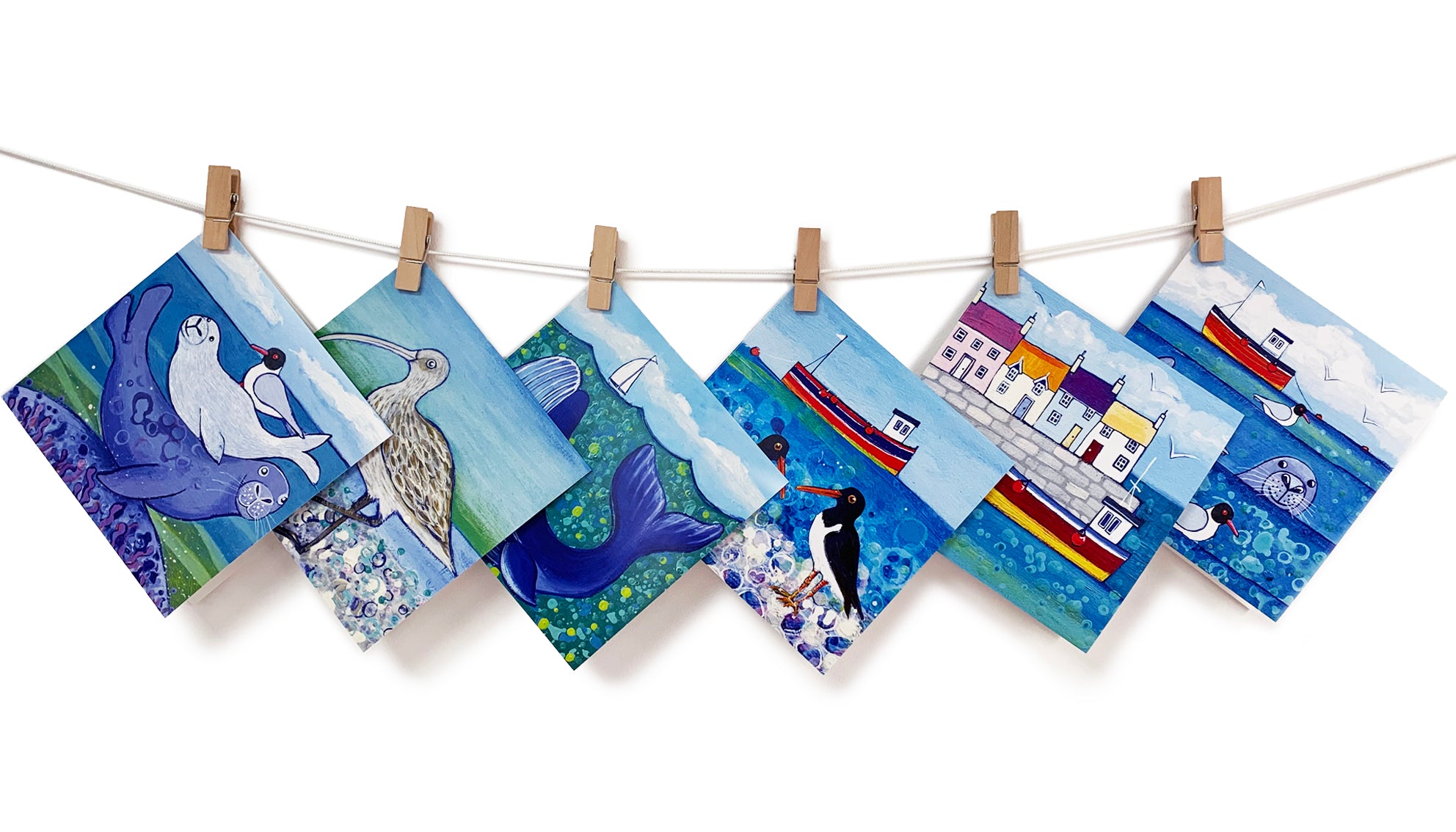 A multipack of greetings cards featuring seals, whales, curlew oyster catcher seas harbours.