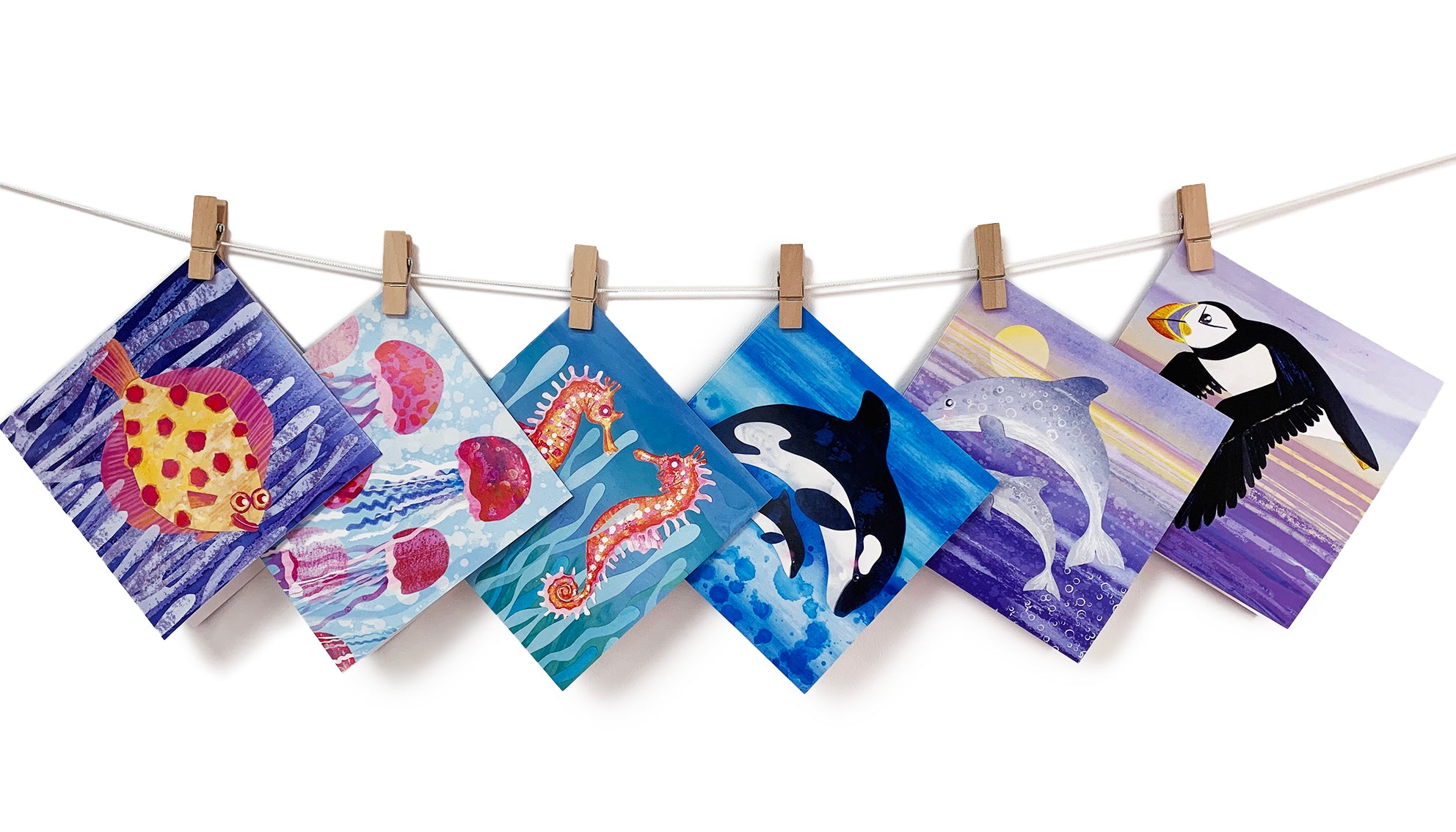 A greetings card collection of aquatic animals including plaice , jellyfish , seahorse, orca, dolphins and puffins.