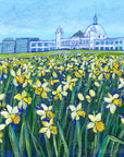 Daffodils at the Dome | Whitley Bay Art Print