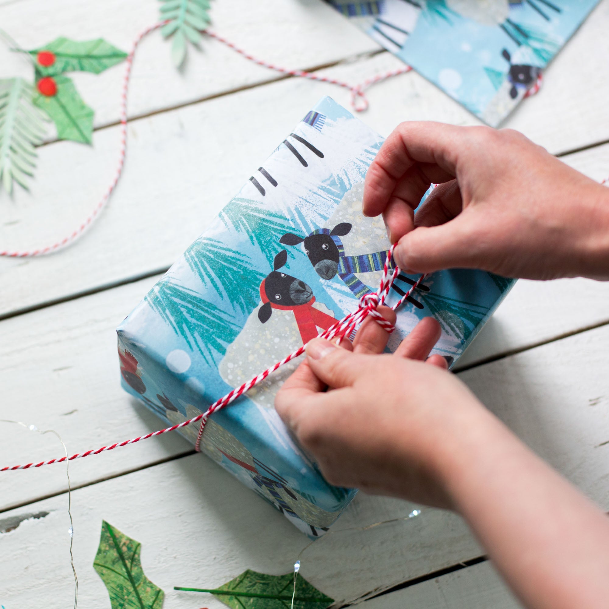 In this image two hands are busy tying a bow with white and red string on top of a parcel wrapped in the winter woolies gift wrap. The gift wrap section visible shows two black-headed sheep facing each other. One wears a red scarf while the other wears a purple toned striped scarf. The background is blue with Christmas trees and snow dispersed between more cheery sheep characters.