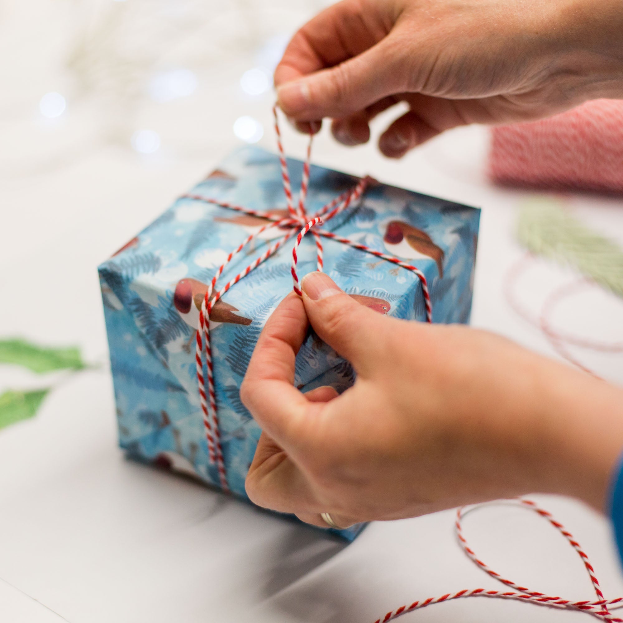 This image features a cubed package wrapped with gorgeous Robin gift wrap paper being finished with white and red string. The gift wrap has a blue background with Foliage dispersed between the charming Robin characters with bright red chests.