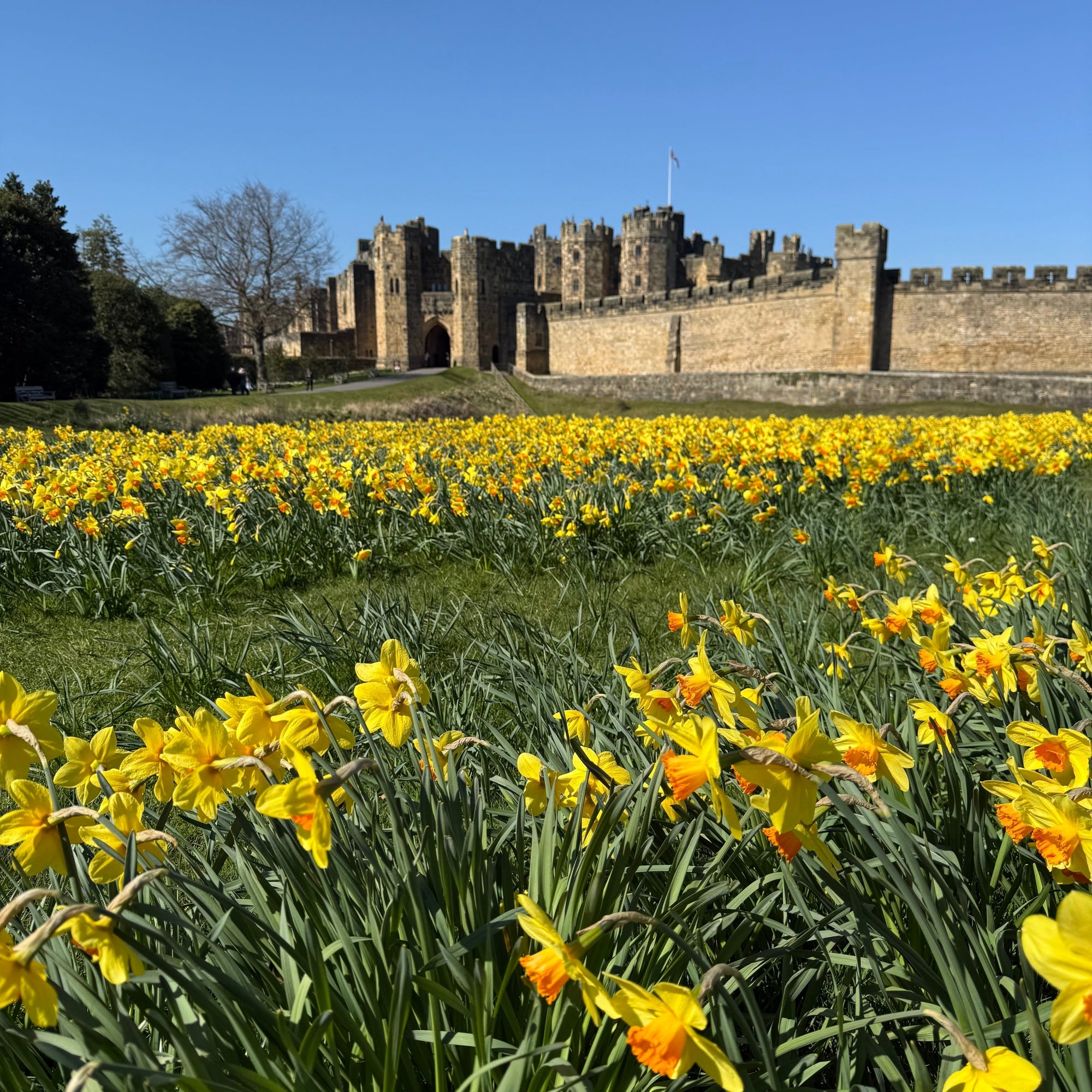 Painting Alnwick Castle: A Day of Artistic Inspiration in Northumberland
