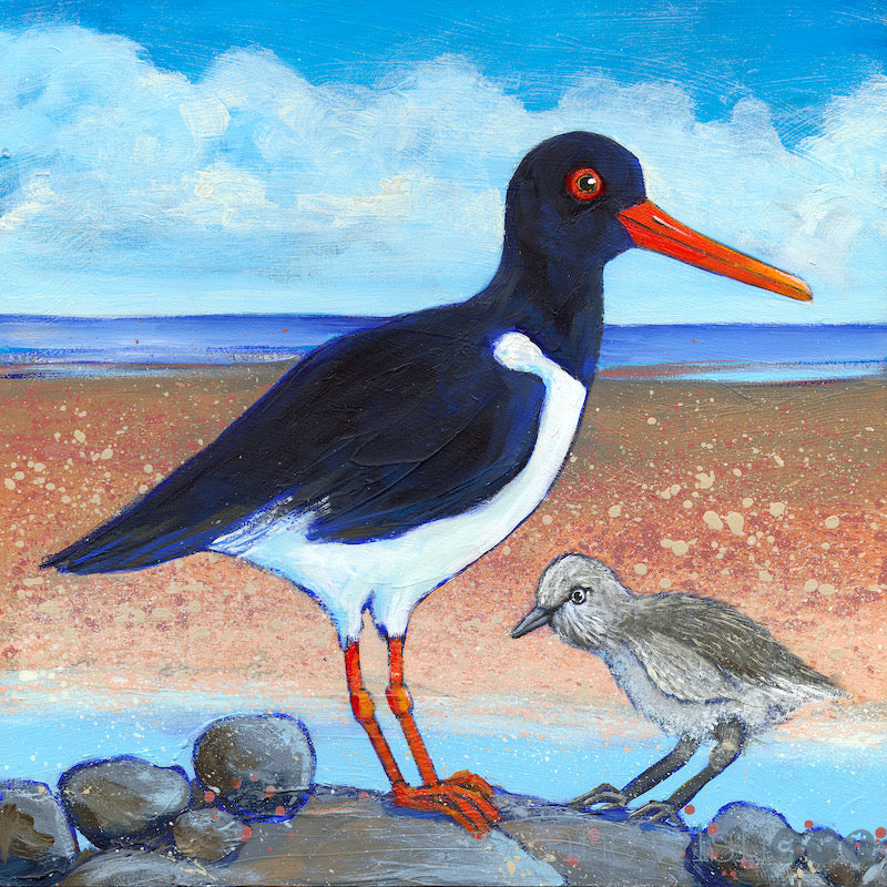 Oystercatcher and Chick - Original Painting