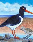Oystercatcher and Chick - Original Painting