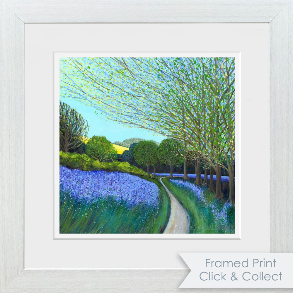 Bluebell Woods - Fine Art Print