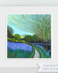 Bluebell Woods - Fine Art Print
