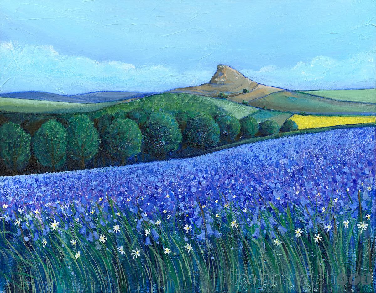 Bluebells at Roseberry Topping - Fine Art Print