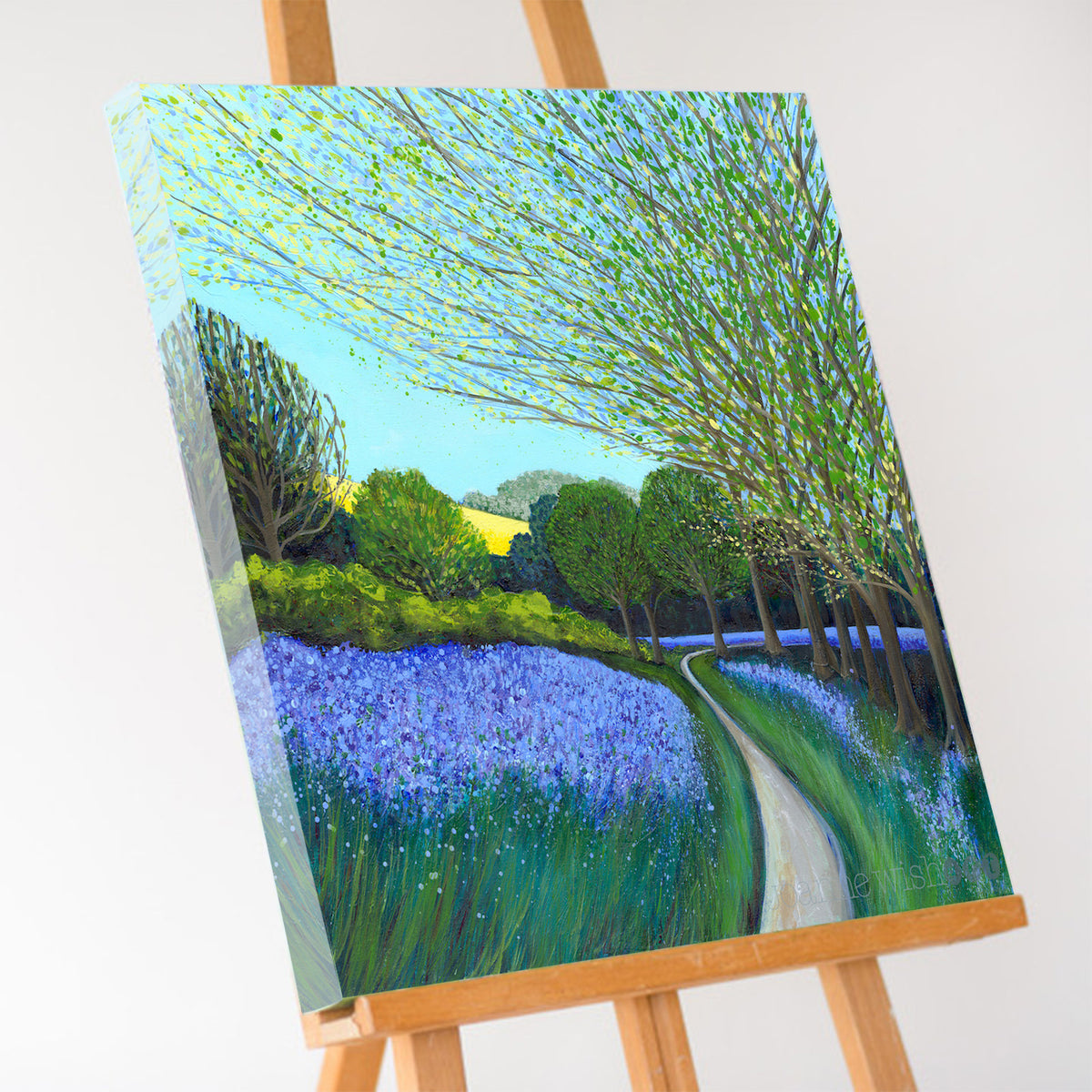 Bluebell Woods - Fine Art Print