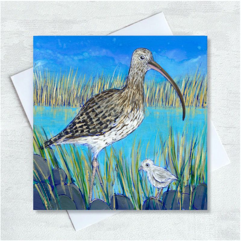 A light brown curlew and its small grey chick stand on a stony foreground, surrounded by tall grasses and against turquoise water and powder blue sky.  