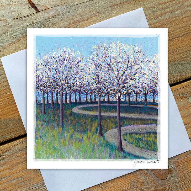 A greetings card picture of some cherry trees with white blossome and green grass with a winding path through the orchard. 