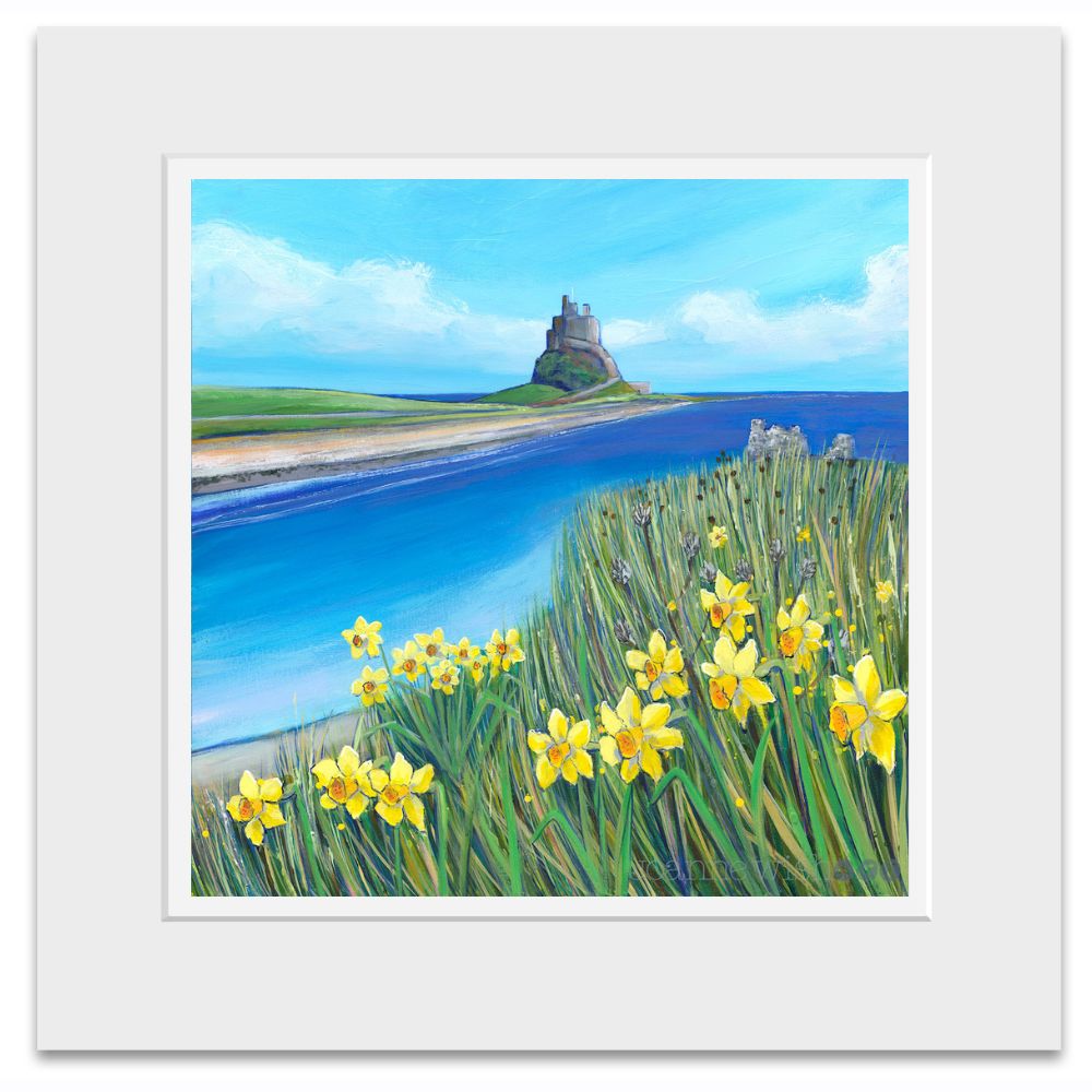 Lindisfarne Spring Daffodils | Northumberland Art Print