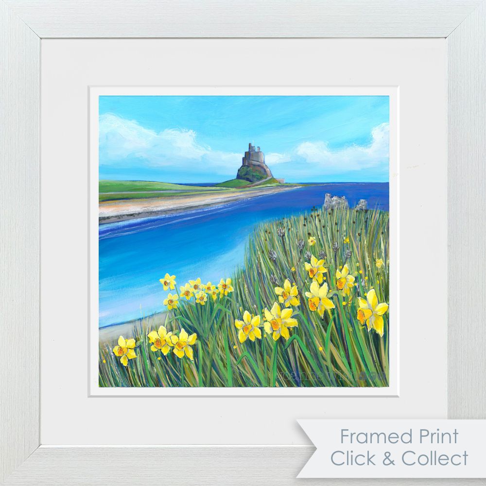 Lindisfarne Spring Daffodils | Northumberland Art Print