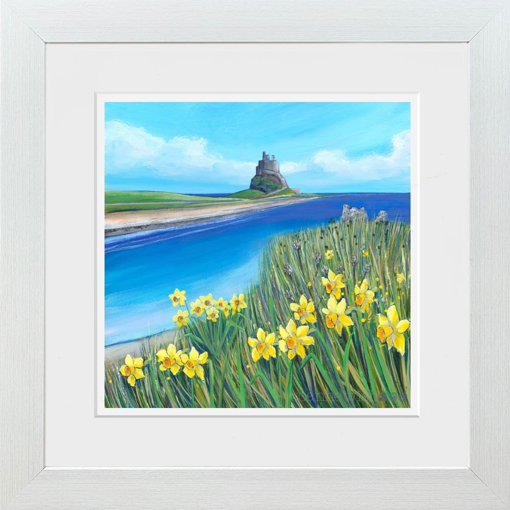 Lindisfarne Spring Daffodils | Northumberland Art Print