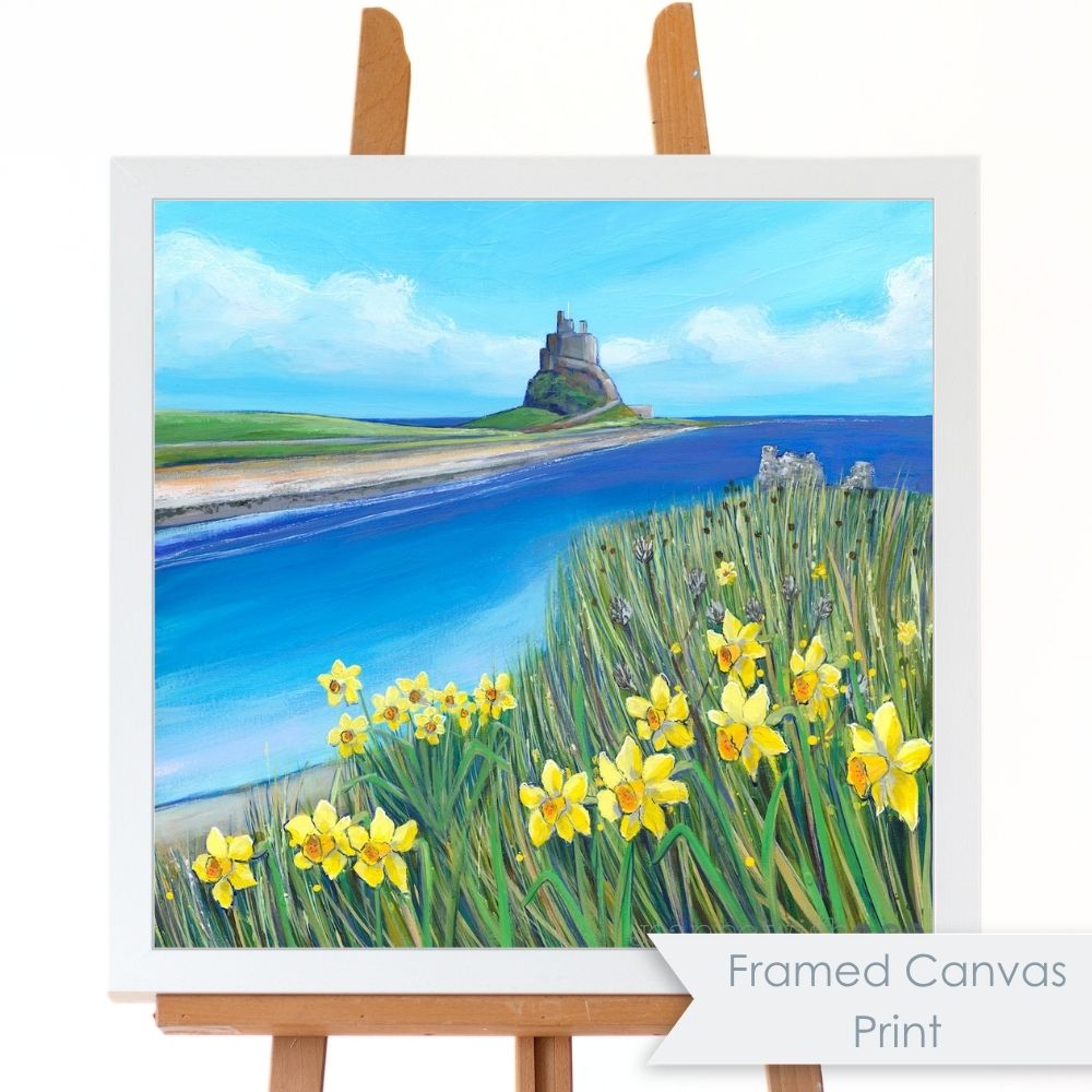 Lindisfarne Spring Daffodils | Northumberland Art Print