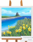 Lindisfarne Spring Daffodils | Northumberland Art Print