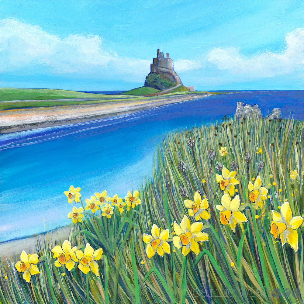 Lindisfarne Spring Daffodils | Northumberland Art Print