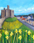 Walkworth Spring Daffodils | Art Print