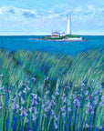 Bluebells at St Mary’s Island Art Print