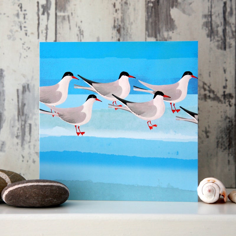 Arctic Terns - Card