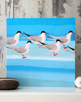 Arctic Terns - Card