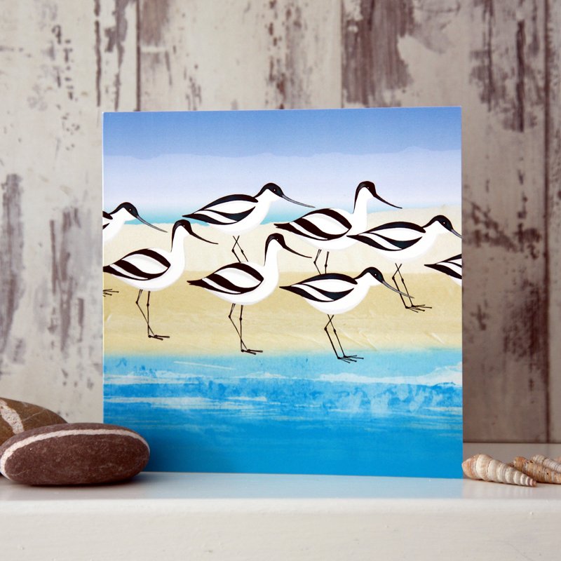 Avocets - Card