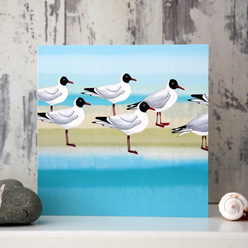 Black Headed Gulls - Card