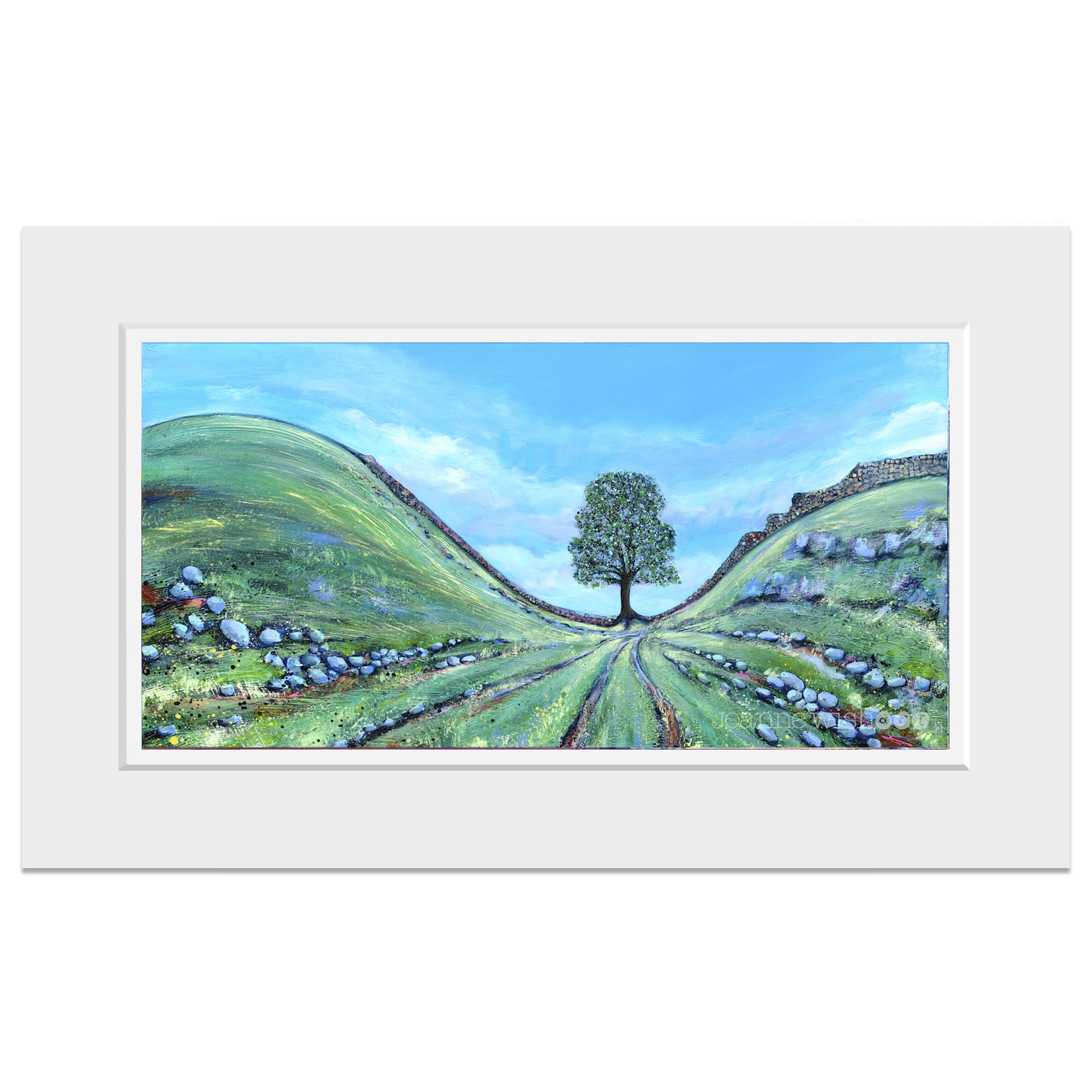 Blue Sky Over Sycamore Gap | Northumberland Art Print