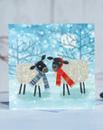 A funny festive card featuring two quirky sheep standing in a snow storm. They are wearing brightly striped scarfs.