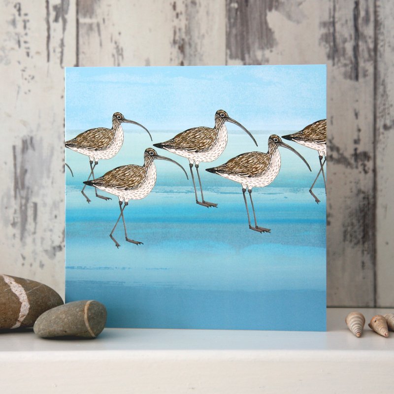 Curlew - Card